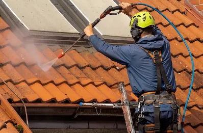 Démoussage et hydrofuge de toiture à Reherrey